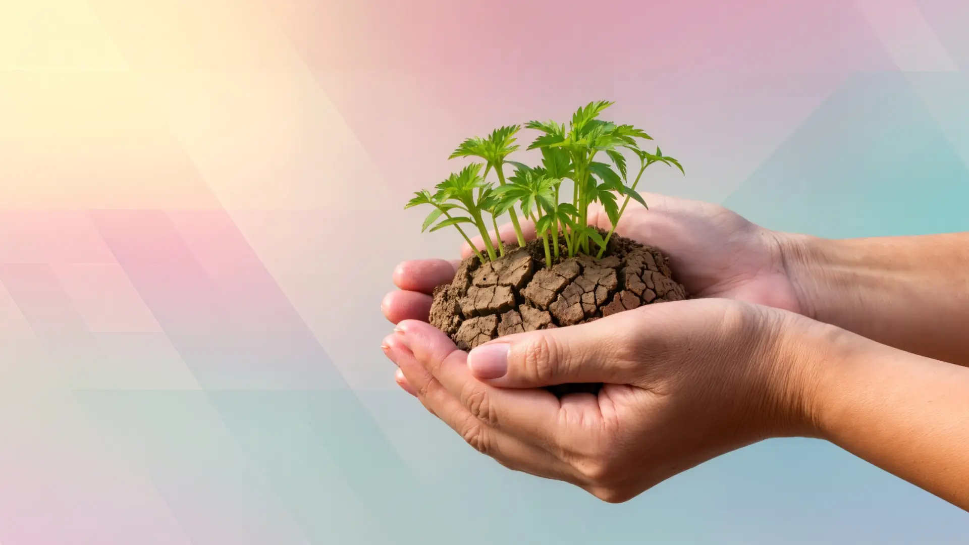 Hands holding cracked soil with healthy green seedlings sprouting upward, symbolizing startup growth, resilience, and new opportunities fueled by AI-powered experimentation. Soft pastel geometric background adds a modern, future-focused feel.